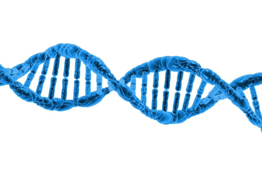 NMN 영양제 집중 리뷰 (NAD·NR 대체재 비교)