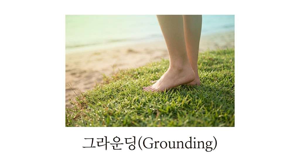소마틱 힐링(Somatic Healting) 맨발 그라운딩(Grounding) 연습 자연 햇살 이미지